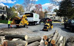 Best Emergency Tree Removal  in Thedral City, CA
